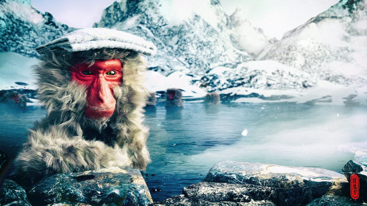 Macaque japonais dans l'eau avec ses amis au milieu des montagnes.