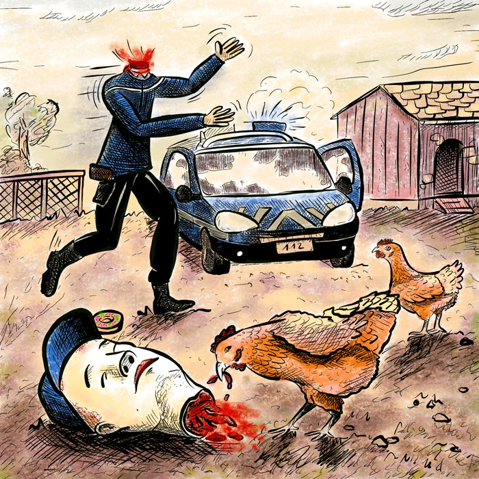 Poulet cannibale à la ferme.