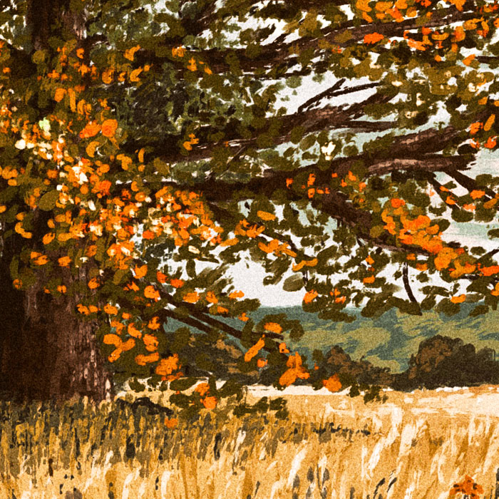 Chêne d’automne au milieu d’un champ.