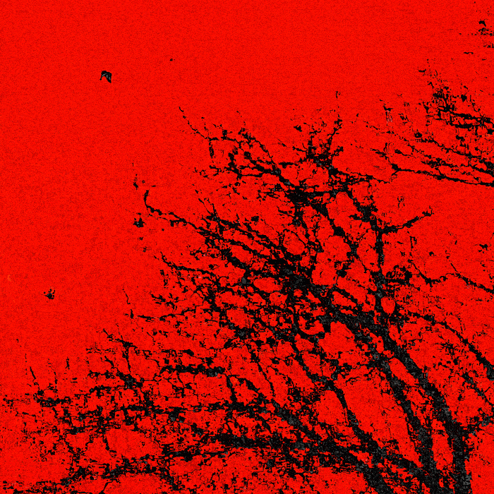 Branchage noir disloqué sur fond rouge et oiseaux en vol.