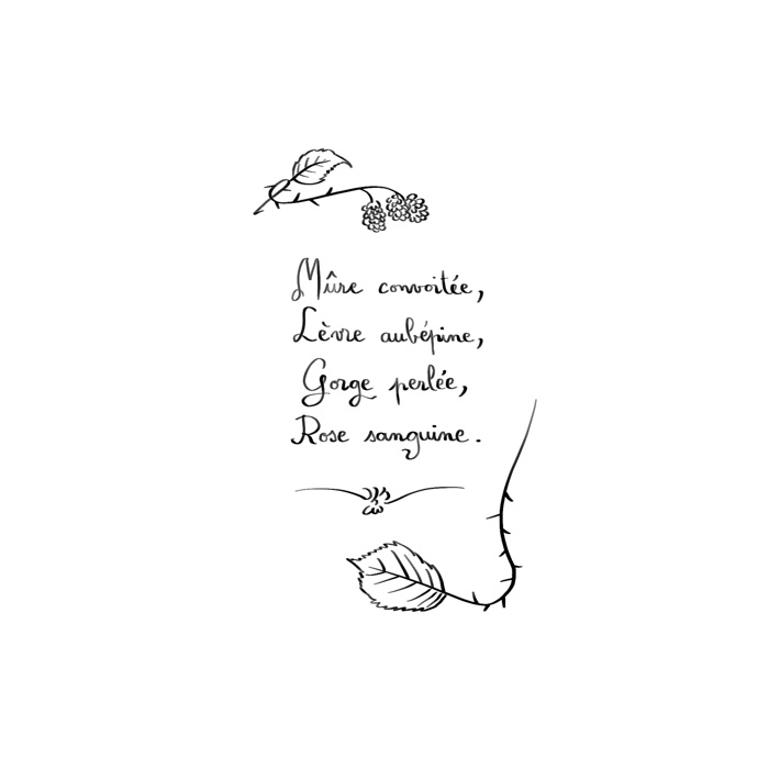 Petit poème orné de ronces et mûres (Mûre convoitée, / Lèvre aubépine, / Gorge aubépine, / Rose sanguine.)