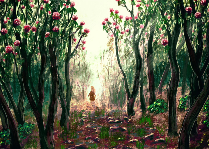 Forêt de rhododendrons en fleurs et fille de dos sur le chemin.
