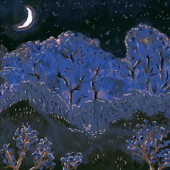 Paysage de l'orée d'une forêt de nuit, sous la Lune. Un petit chat montre son nez.